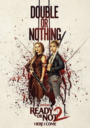 Cartel de la película Noche de bodas 2