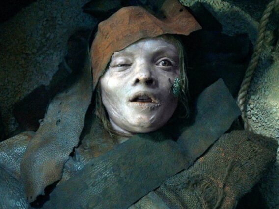 La momia de Lee Cronin fondo