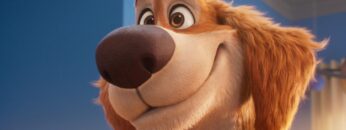 Charlie el superperro fondo