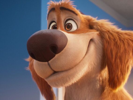 Charlie el superperro fondo