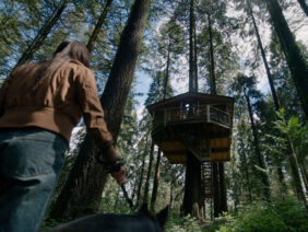 La-casa-en-el-árbol-fondo