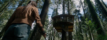 La-casa-en-el-árbol-fondo