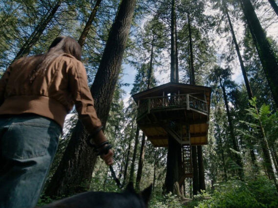 La-casa-en-el-árbol-fondo