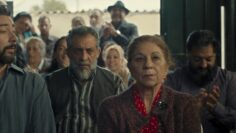 Mallorca Confidencial fondo