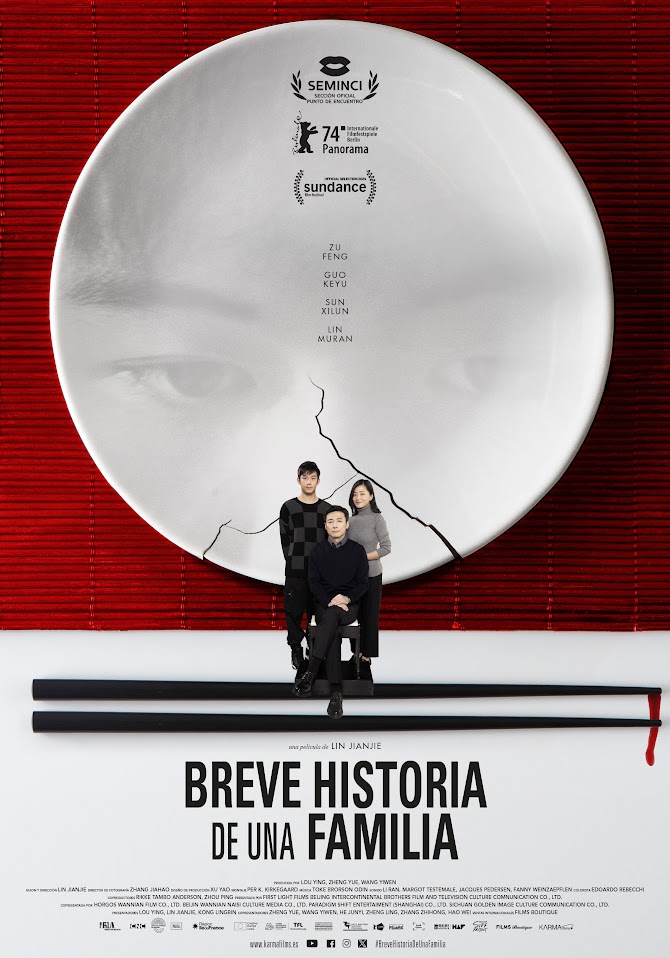 Cartel de la película Breve historia de una familia
