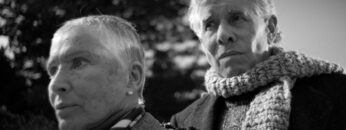 Centaures de la nit fondo