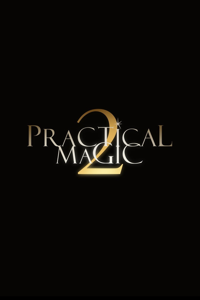 Cartel de la película Prácticamente magia 2