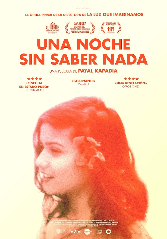 Cartel de la película Una noche sin saber nada