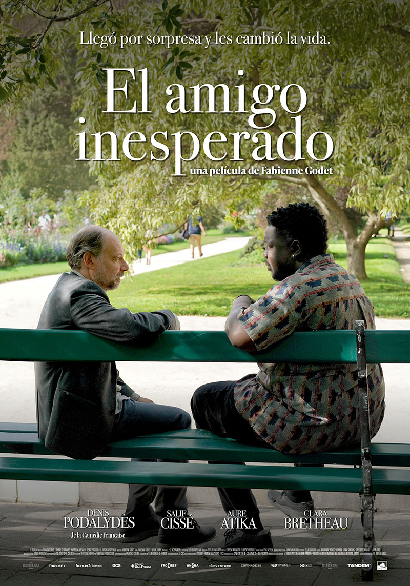 Cartel de la película El amigo inesperado