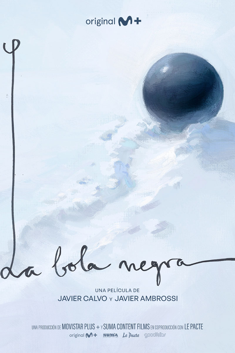 Cartel de la película La bola negra