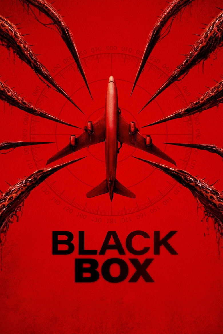 Cartel de la película Black Box: Vuelo 298