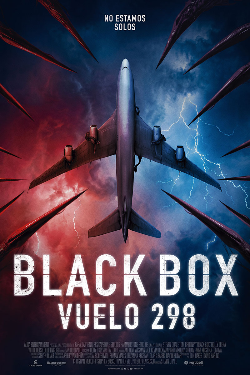 Cartel de la película Black Box: Vuelo 298