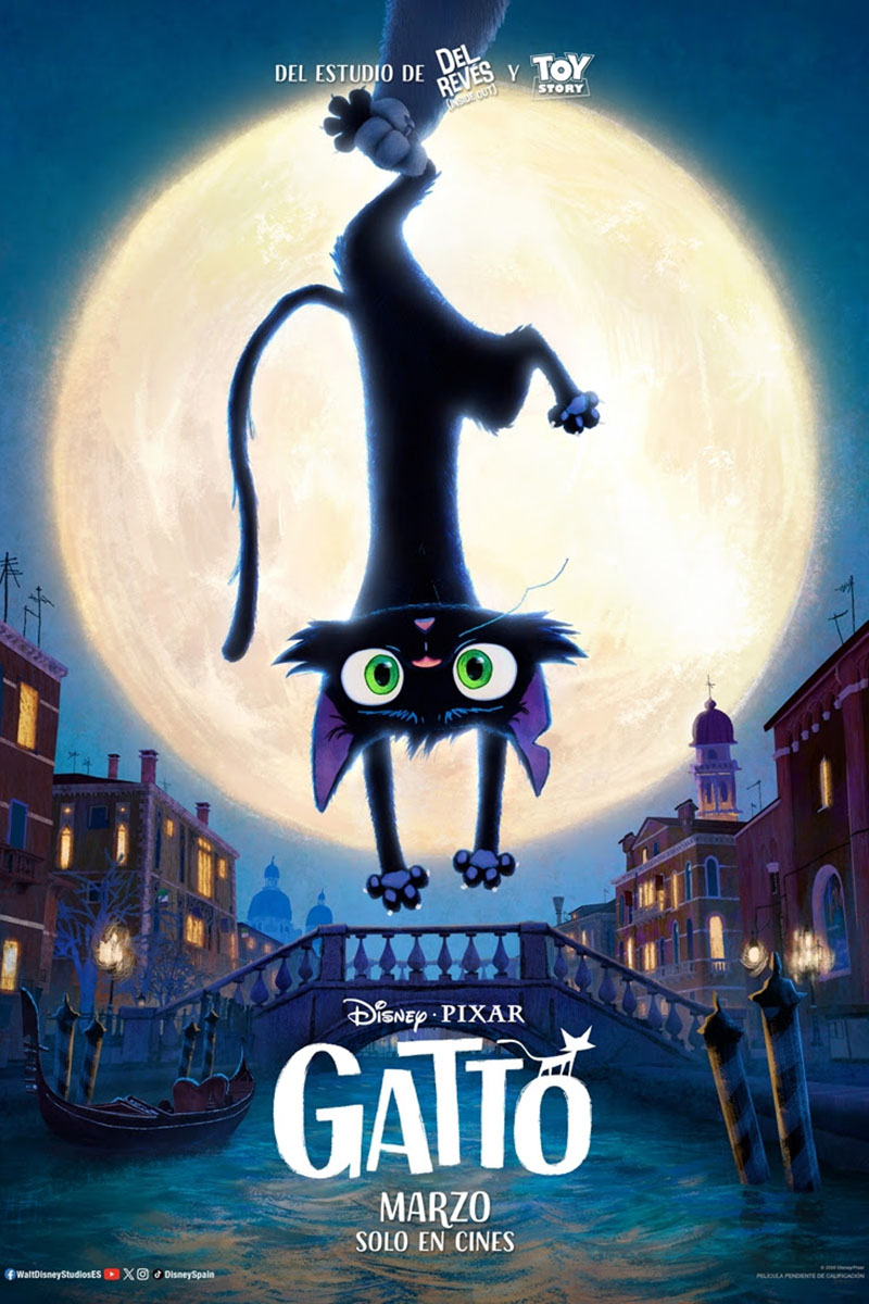 Cartel de la película Gatto