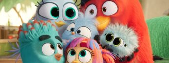 Angry Birds 3: La película fondo