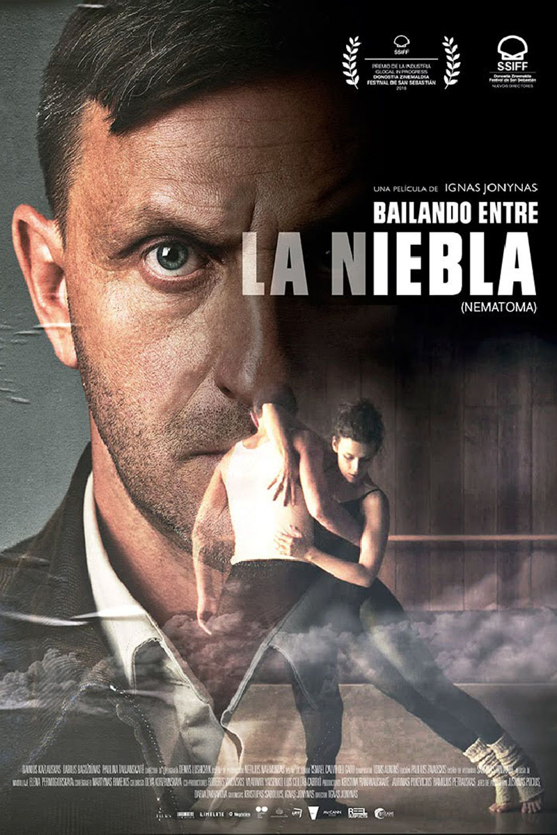 Cartel de la película Bailando entre la niebla