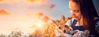 Kangaroo: Una aventura en Australia