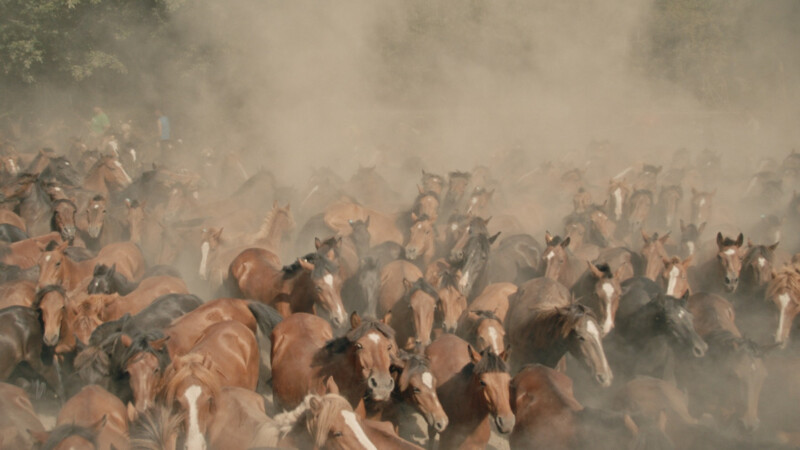 El rugir de las llamas (2025)